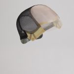 Sapphire - Image 4